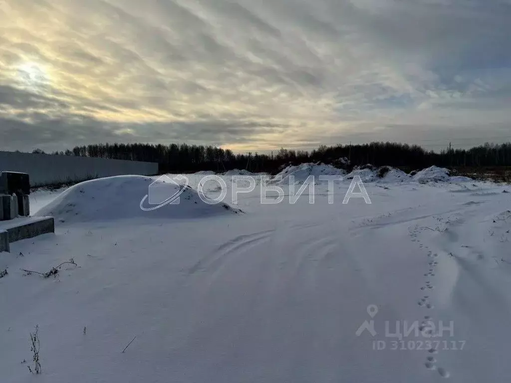 Участок в Тюменская область, Тюменский район, с. Горьковка  (50.0 ... - Фото 1