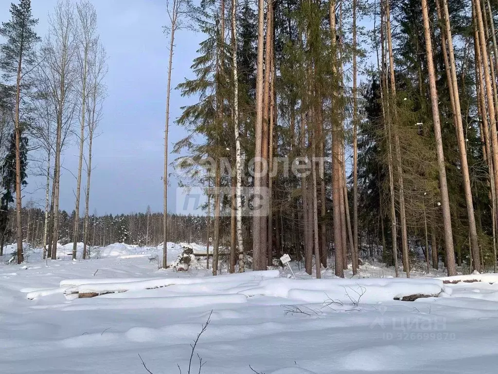 Участок в Ленинградская область, Тосно г. Тосненский район, Тосненское ... - Фото 1