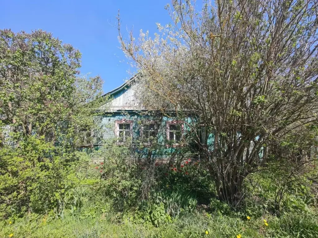 Дом в Орловская область, Орел Калужская ул., 25 (44 м) - Фото 2