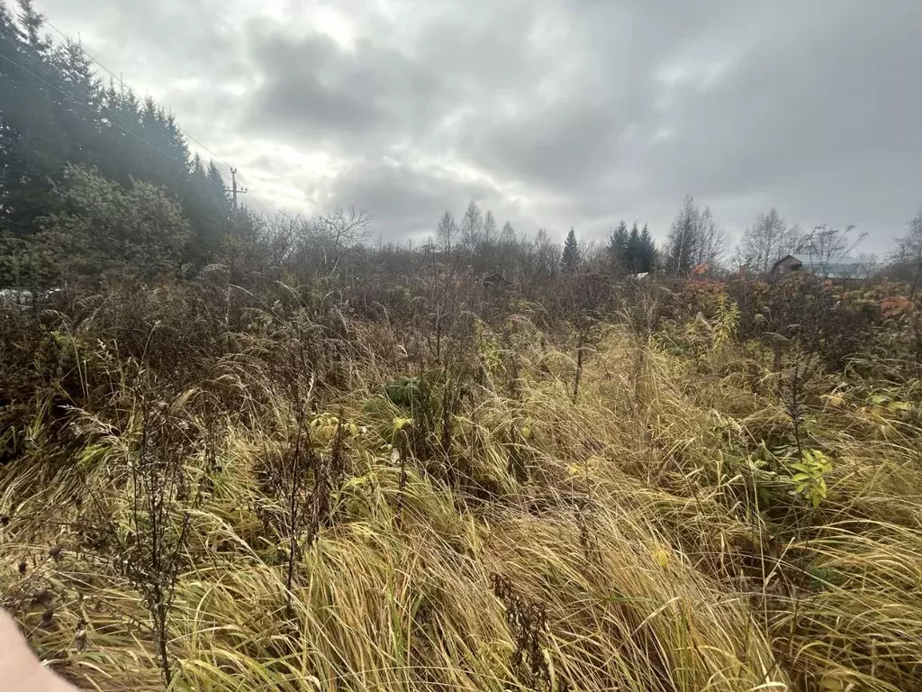Участок в Владимирская область, Александровский муниципальный округ, ... - Фото 2