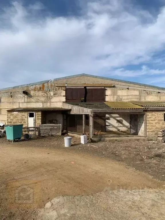 Помещение свободного назначения в Крым, Сакский район, Суворовское ... - Фото 1