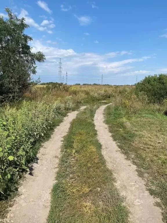 Участок в Белгородская область, Белгородский район, Беломестненское ... - Фото 1