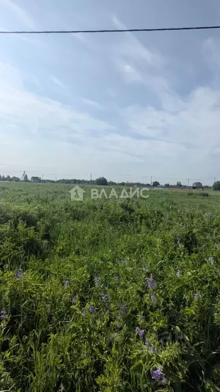 Участок в Марий Эл, Йошкар-Ола городской округ, д. Апшакбеляк ул. ... - Фото 0