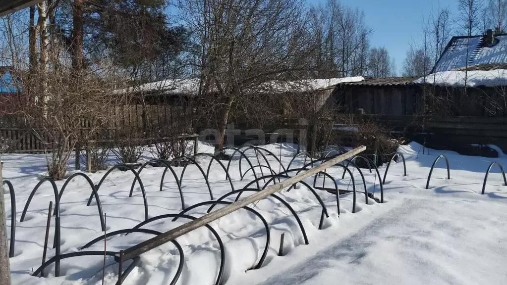 Участок в Ленинградская область, Киришский район, Пчевжинское с/пос, ... - Фото 2
