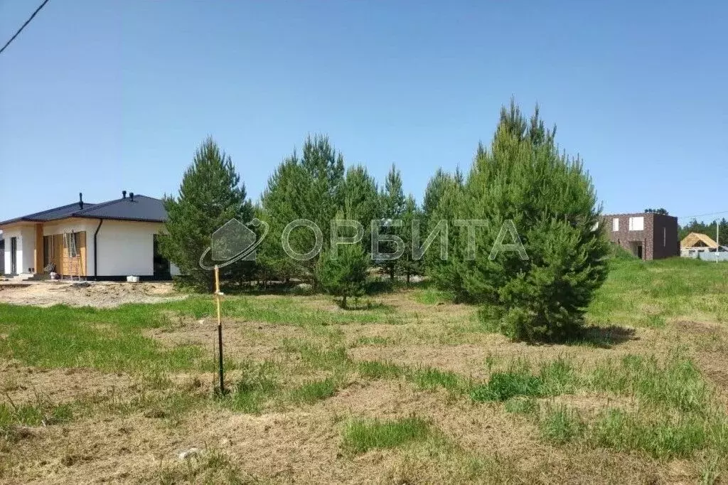 Участок в Тюменская область, Нижнетавдинский муниципальный округ, с. ... - Фото 1