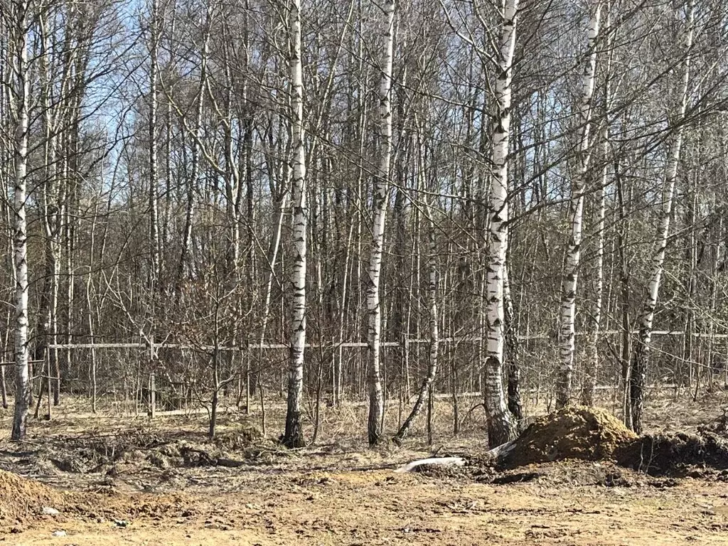 Участок в Московская область, Химки Клязьма-Старбеево мкр, Вашутино ... - Фото 2