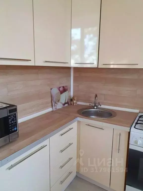 2-к кв. Татарстан, Казань ул. Толстого, 16 (60.0 м) - Фото 1
