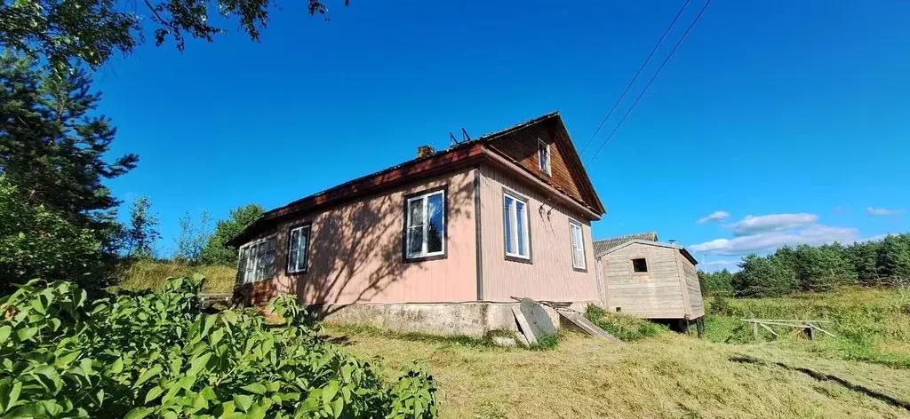 Дом в Псковская область, Пустошкинский район, Алольская волость, д. ... - Фото 1