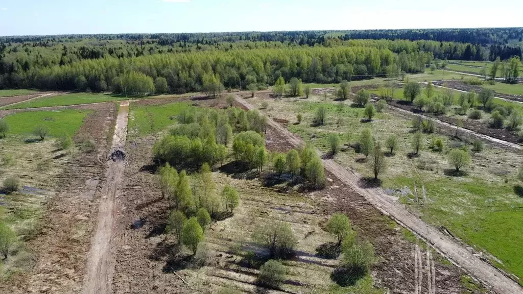Участок в Московская область, Клин городской округ, Коськово кп 225 ... - Фото 2