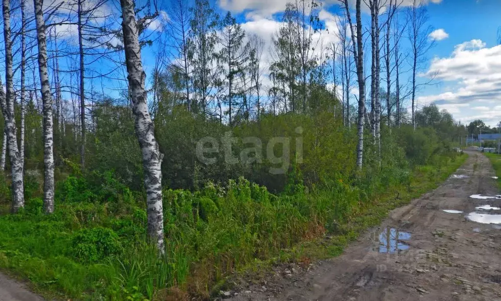 Участок в Ярославская область, Рыбинск ул. Штепенко, 12 (21.5 сот.) - Фото 0