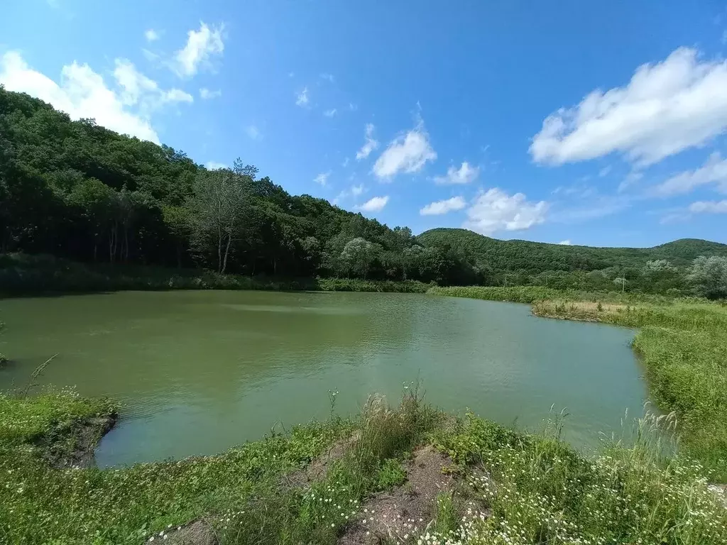 Участок в Краснодарский край, Туапсинский муниципальный округ, пос. ... - Фото 0