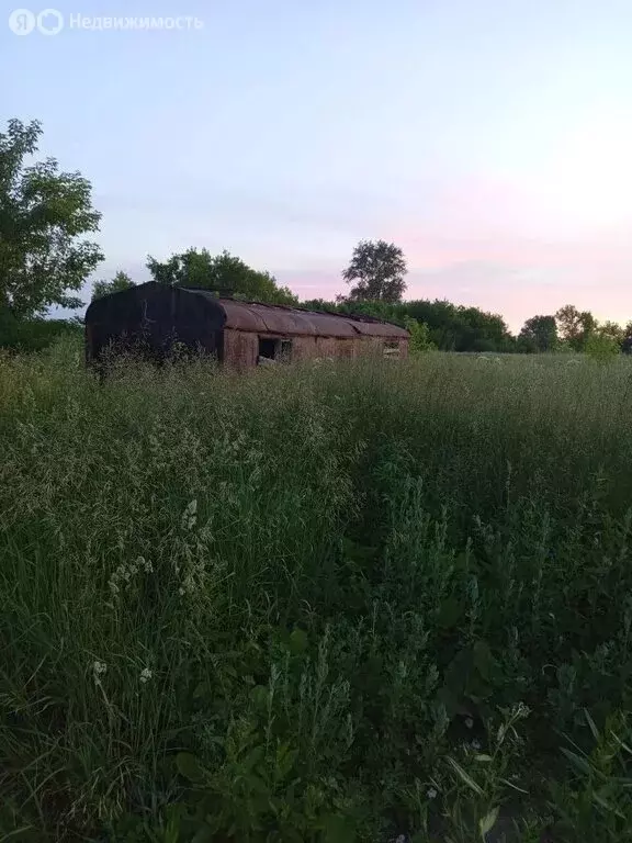 Участок в село Ярки, Береговая улица (5 м) - Фото 1