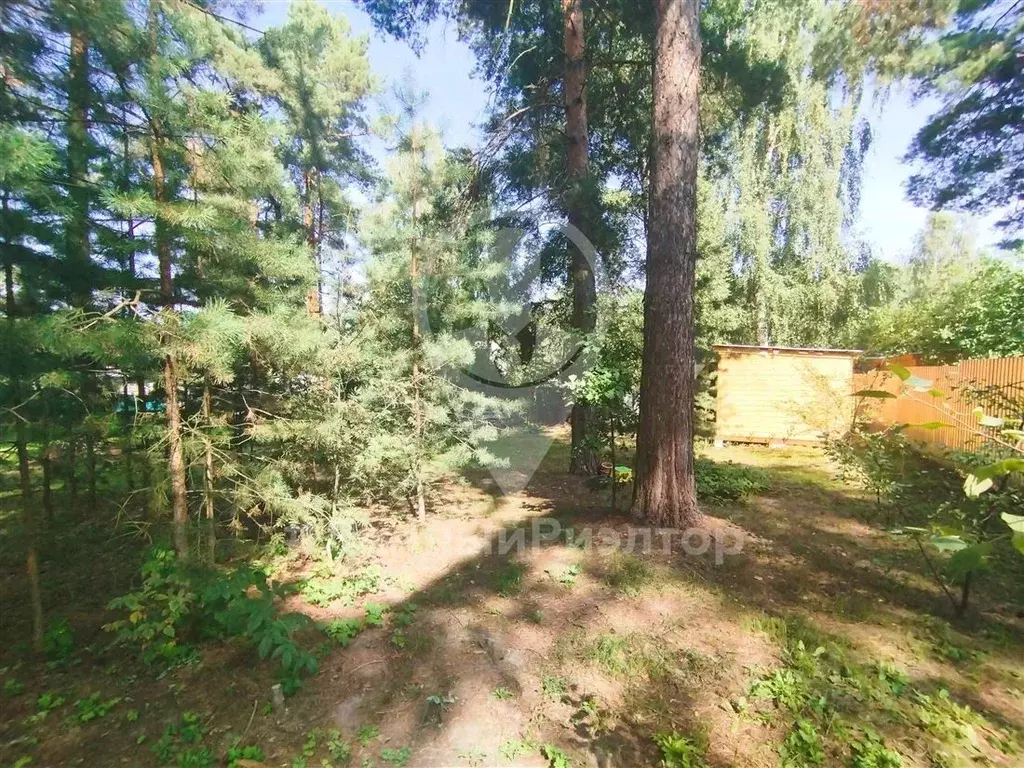 Участок в Рязанская область, Рязанский район, Мурминское с/пос, Сосна ... - Фото 2