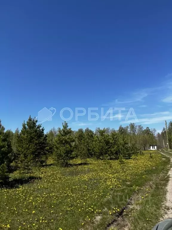 Участок в Тюменская область, Тюменский район, Исток СНТ  (8.52 сот.) - Фото 1