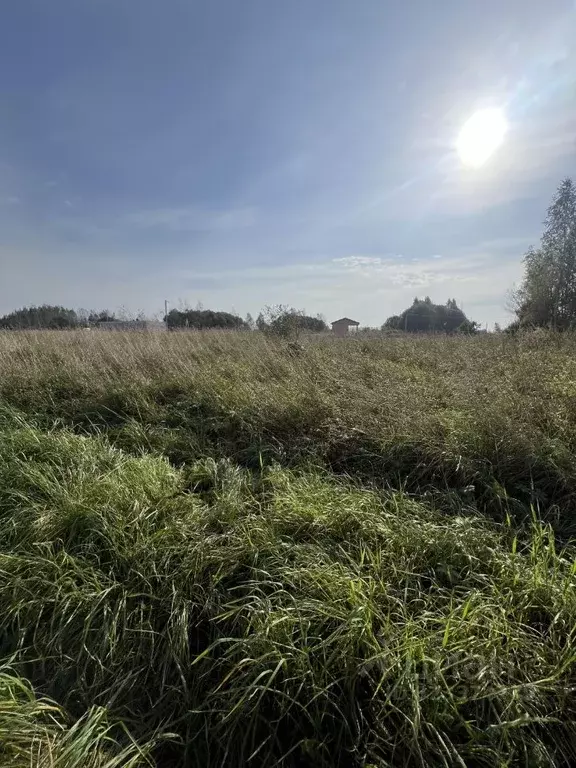 Участок в Псковская область, Псковский район, Завеличенская волость, ... - Фото 2
