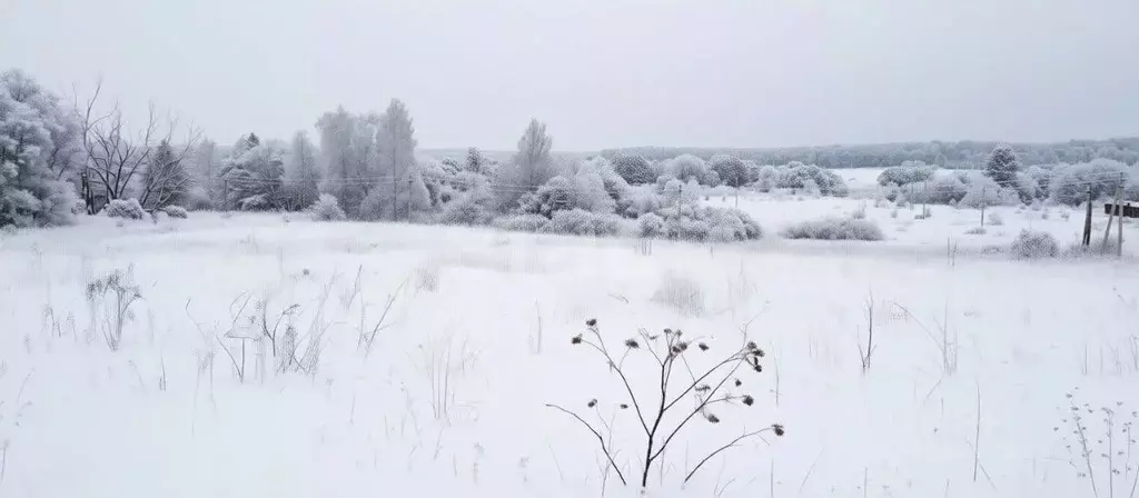 Участок в Тульская область, Тула городской округ, д. Малевка проезд ... - Фото 1