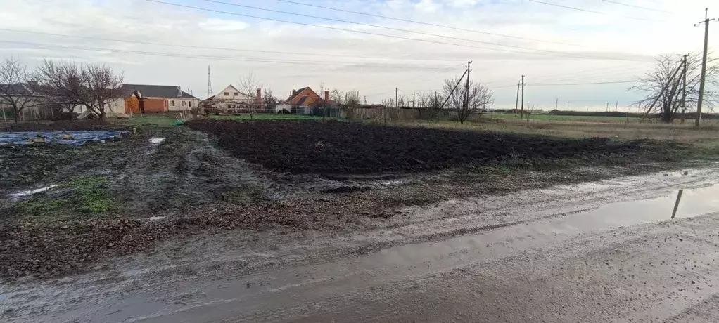 Участок в Краснодарский край, Ейский район, Александровское с/пос, с. ... - Фото 2