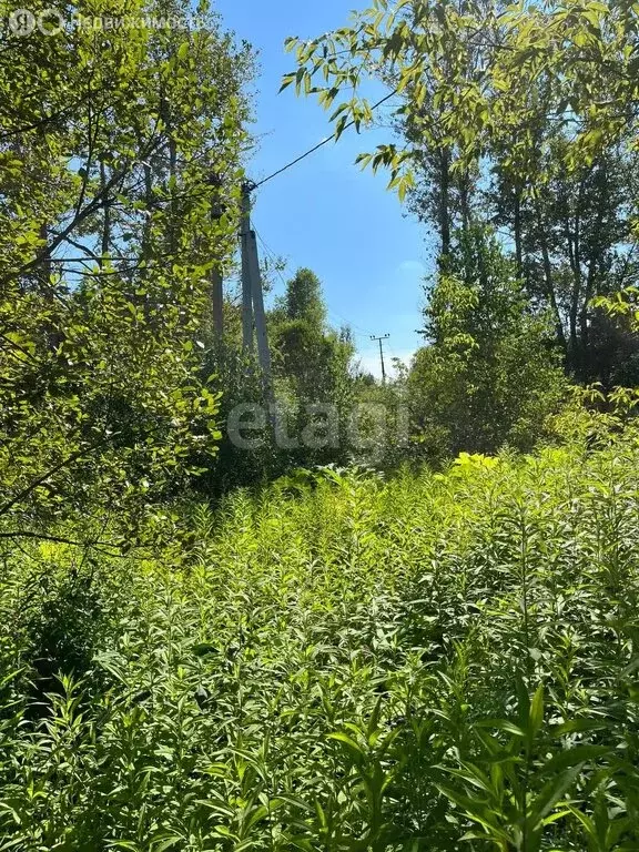 Участок в Калужская область, Козельский муниципальный округ, сельское ... - Фото 2