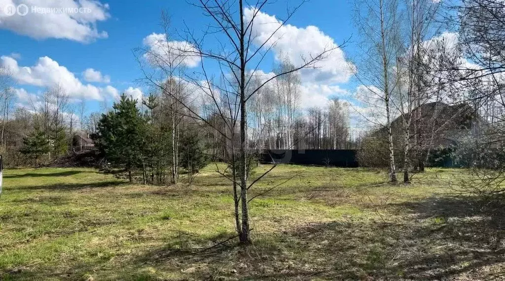 Участок в Петушинский район, муниципальное образование Нагорное, ТСН ... - Фото 0