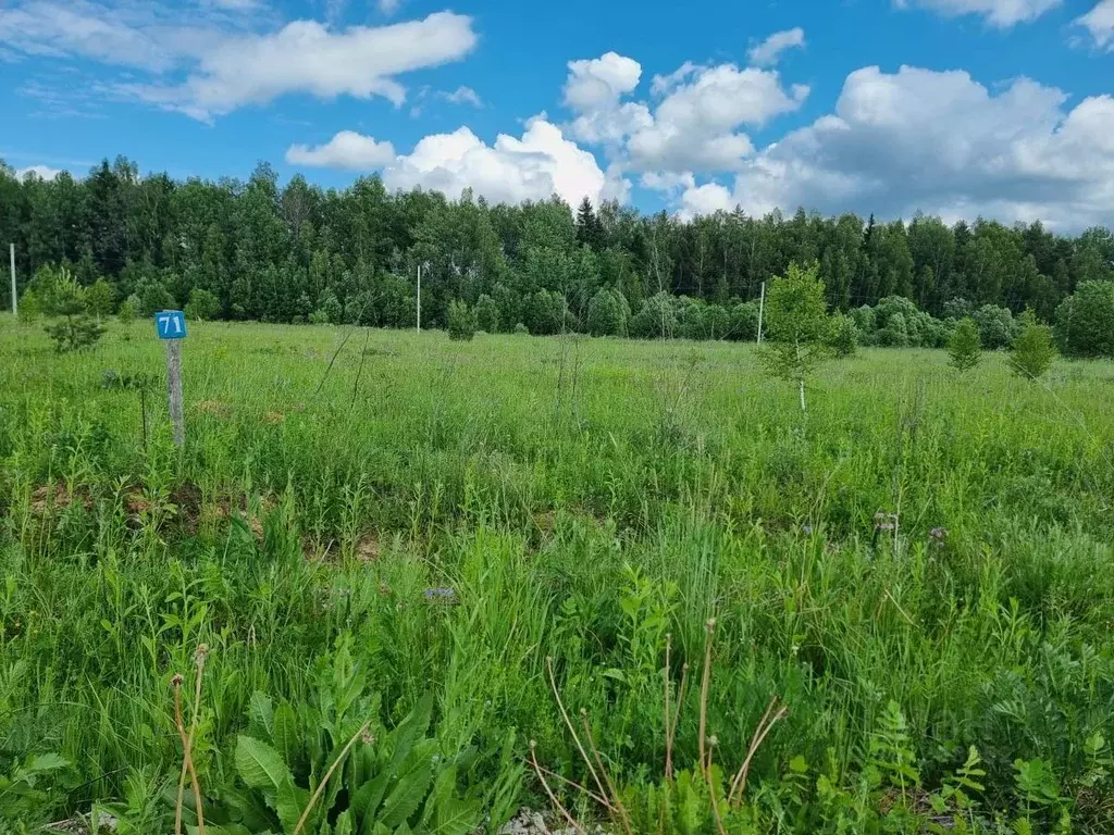 Участок в Московская область, Можайский городской округ, Рублево кп  ... - Фото 1