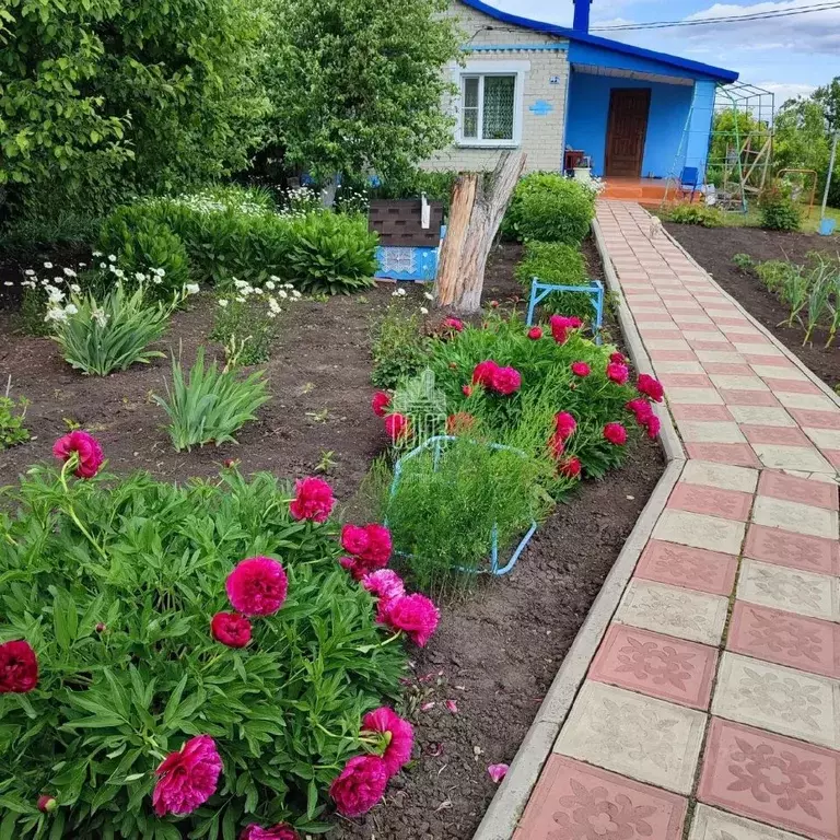 Дом в Липецкая область, Воловский муниципальный округ, д. ... - Фото 1