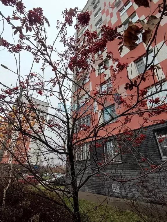 1-к кв. Нижегородская область, Нижний Новгород ул. Спутника, 42 (42.0 ... - Фото 2