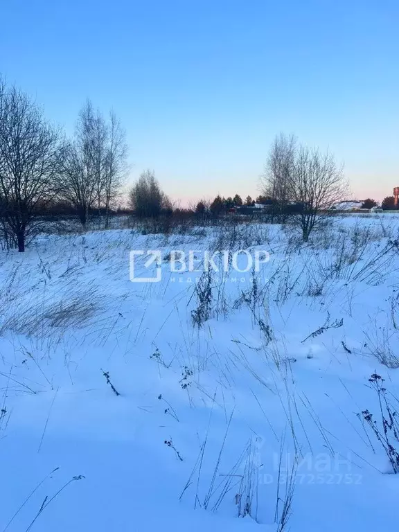 Участок в Костромская область, Нерехтский район, Пригородное с/пос, с. ... - Фото 1