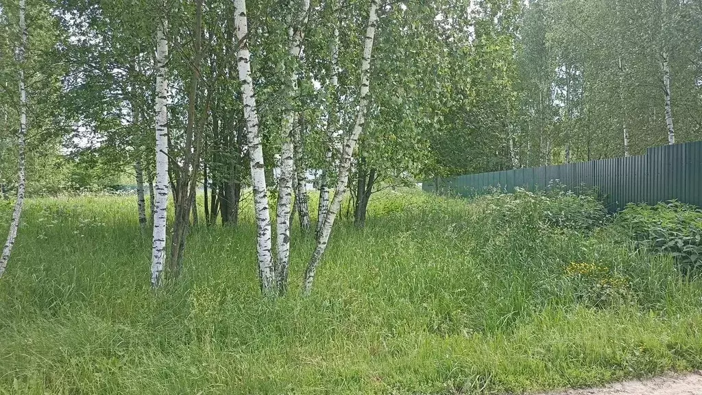 Участок в Московская область, Домодедово городской округ, с. ... - Фото 1