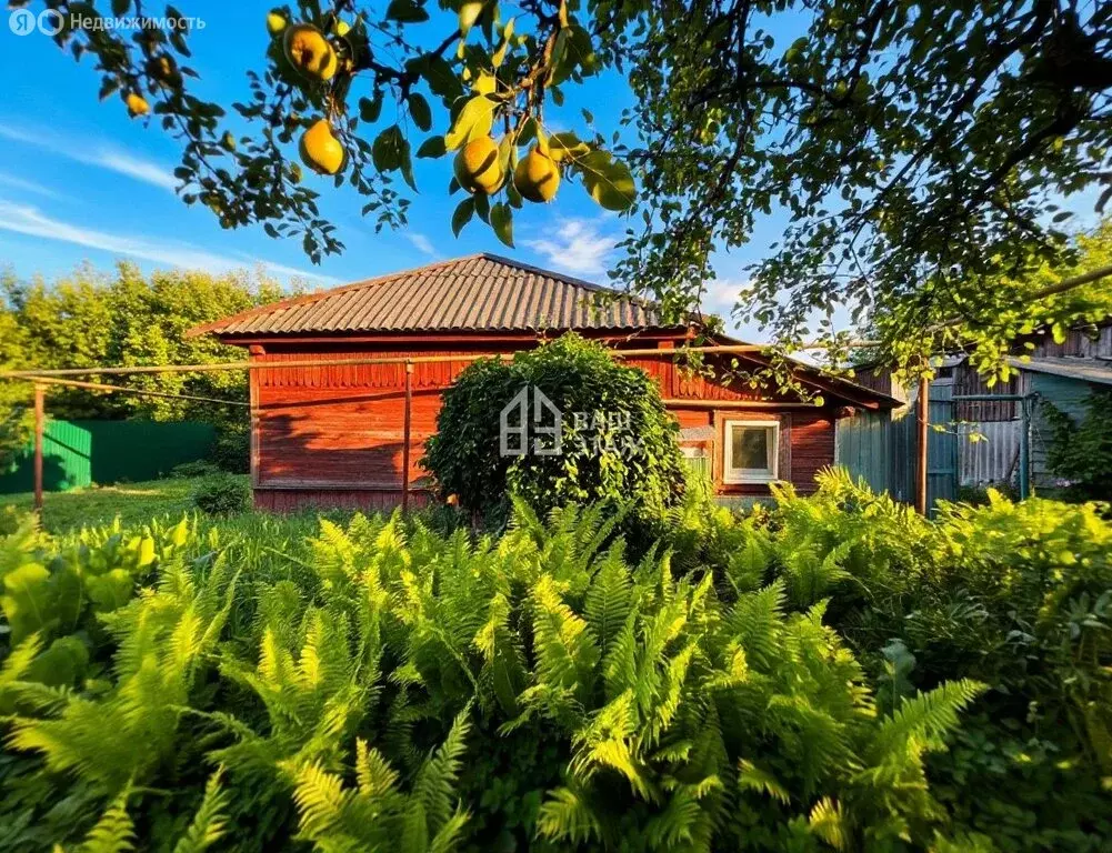 Дом в Сухиничи, улица Чкалова, 39 (57 м) - Фото 1