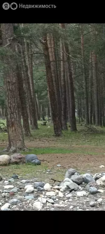 Участок в Эльбрусский район, село Байдаево (10 м) - Фото 1