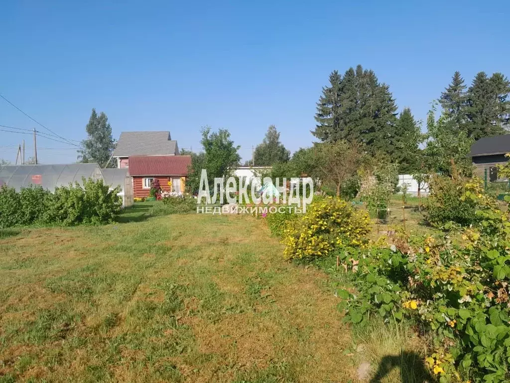 Участок в Ленинградская область, Приозерский район, Ларионовское ... - Фото 1