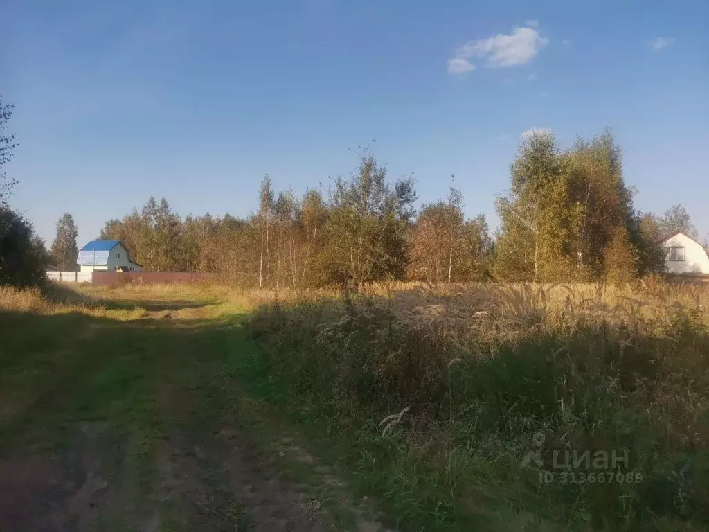 Участок в Московская область, Орехово-Зуевский городской округ, д. ... - Фото 0