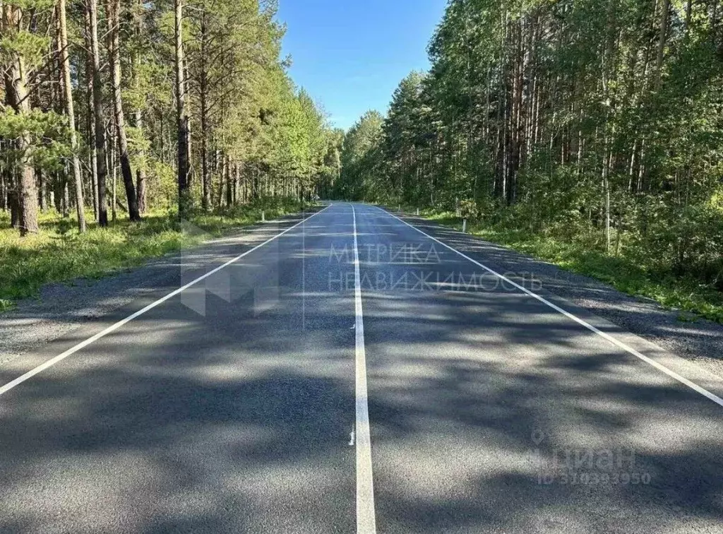 Участок в Тюменская область, Тюменский район, д. Криводанова Трактовая ... - Фото 1