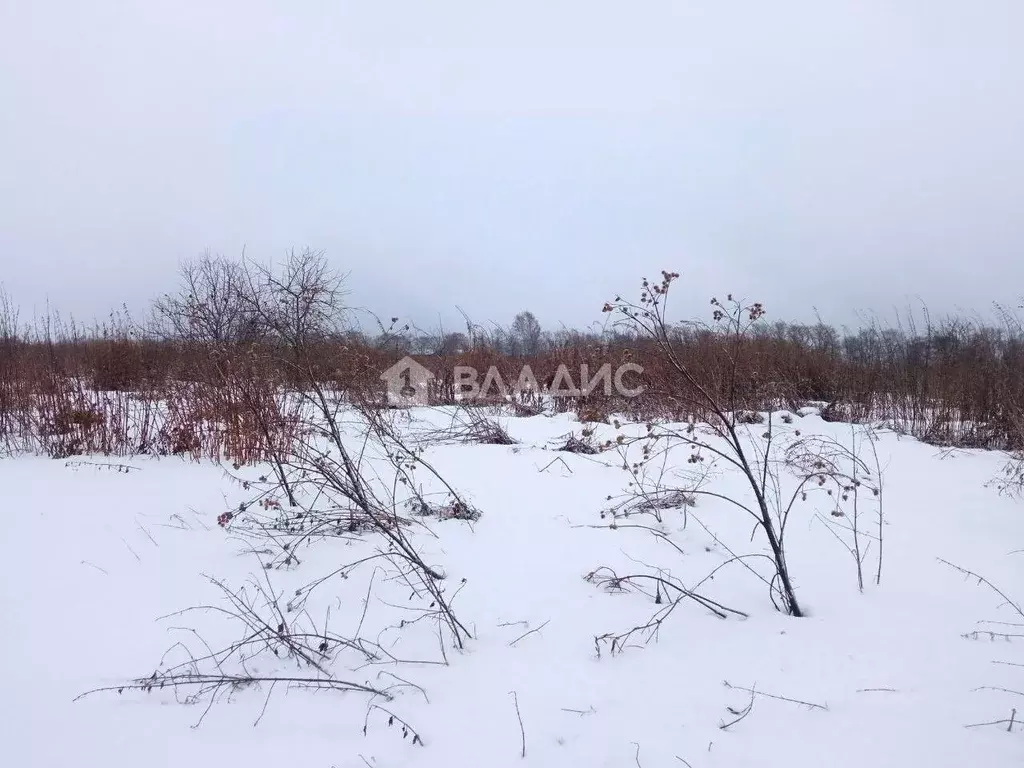 Участок в Вологодская область, с. Куркино  (8.8 сот.) - Фото 1