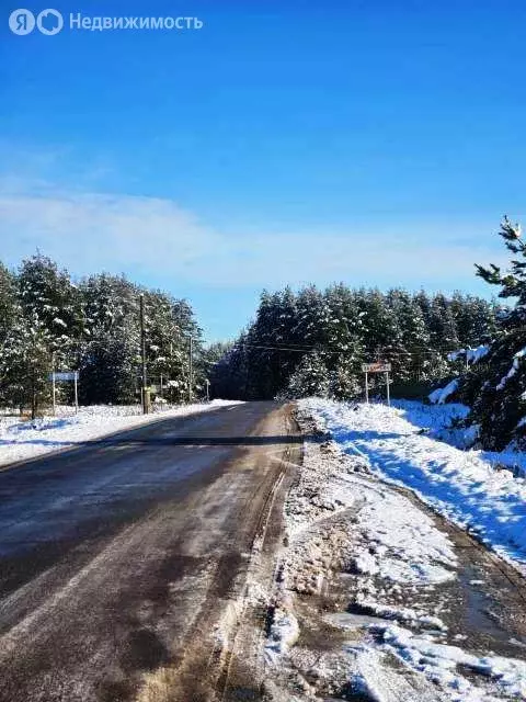 Участок в Владимирская область, Киржачский муниципальный округ, ... - Фото 1
