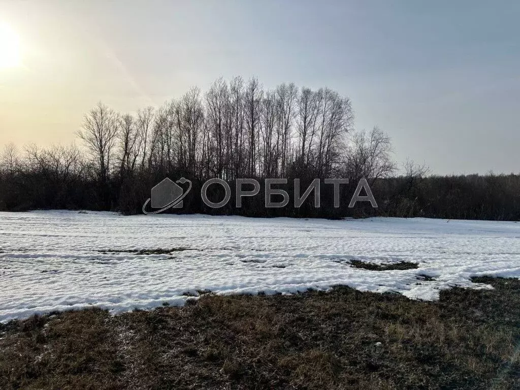 Участок в Тюменская область, Тюменский район, д. Малиновка ул. ... - Фото 0