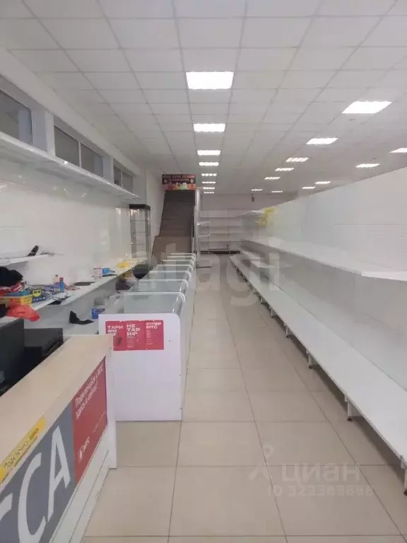 Торговая площадь в Ямало-Ненецкий АО, Новый Уренгой Таежная ул., 224 ... - Фото 1