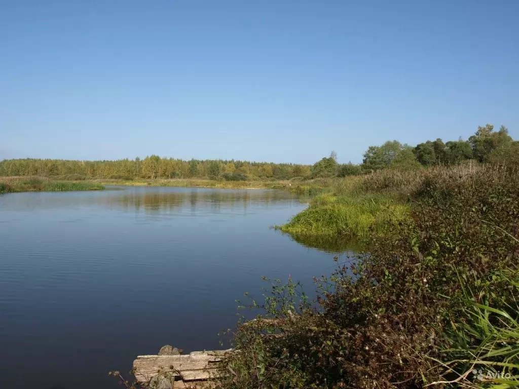Участок в Тверская область, Конаковский муниципальный округ, д. ... - Фото 2
