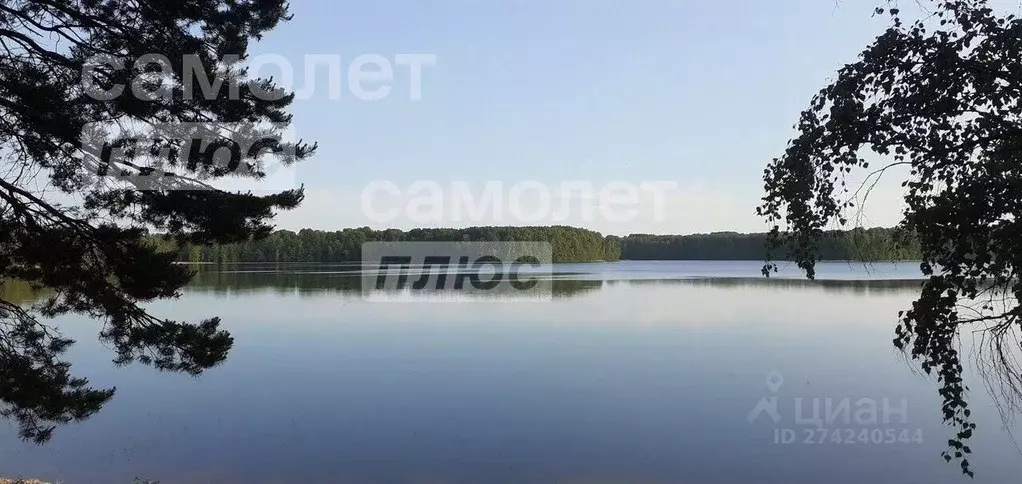 Участок в Псковская область, Плюсский район, Лядская волость, д. ... - Фото 1