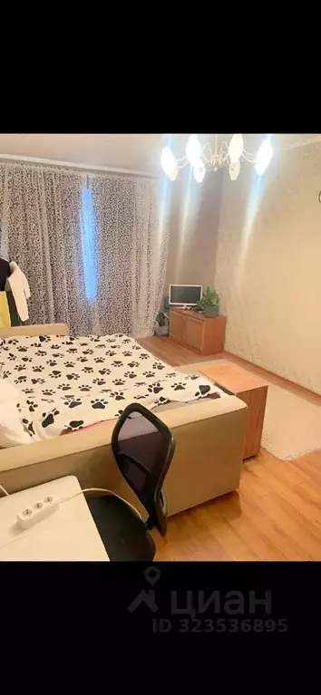 1-к кв. Татарстан, Казань ул. Братьев Касимовых, 56 (30.0 м) - Фото 1