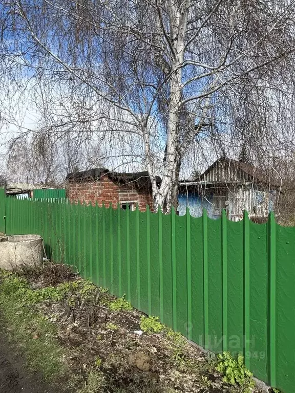 Дом в Омская область, Омск СОСН Энергия тер., 374 (20 м) - Фото 1