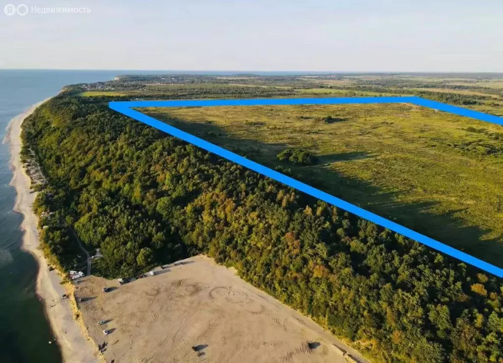 Участок в Калининградская область, посёлок городского типа Янтарный ... - Фото 1