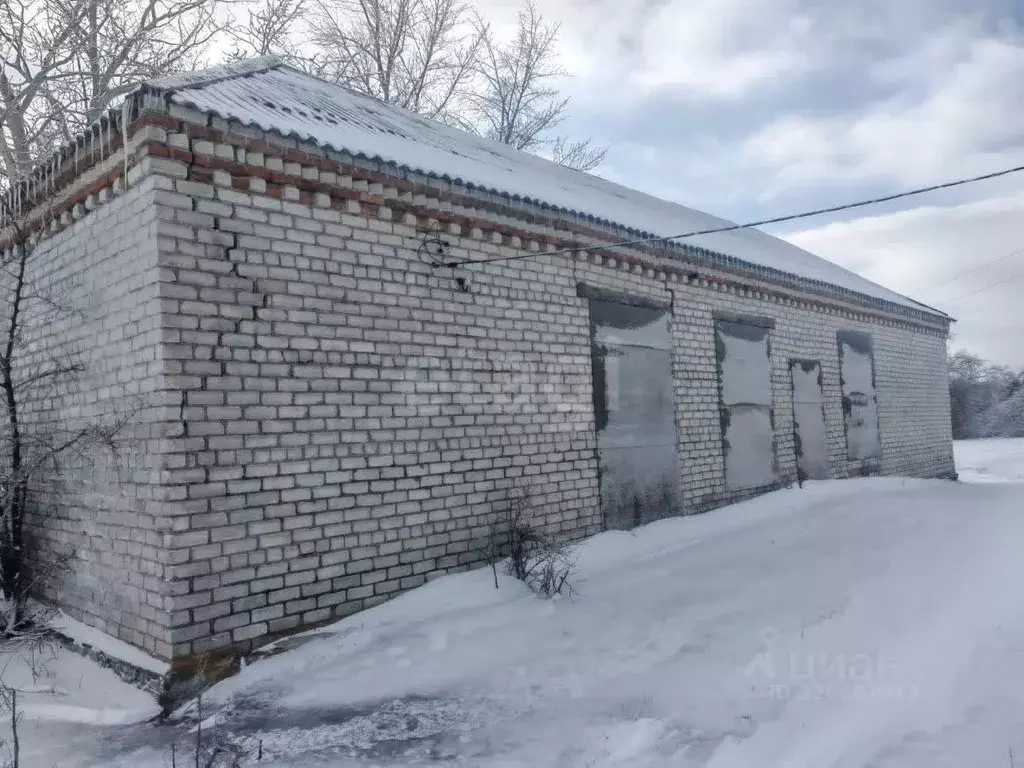 Торговая площадь в Белгородская область, Вейделевский район, ... - Фото 1