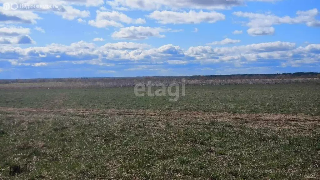 Участок в Республика Коми, муниципальный район Сыктывдинский, ... - Фото 1