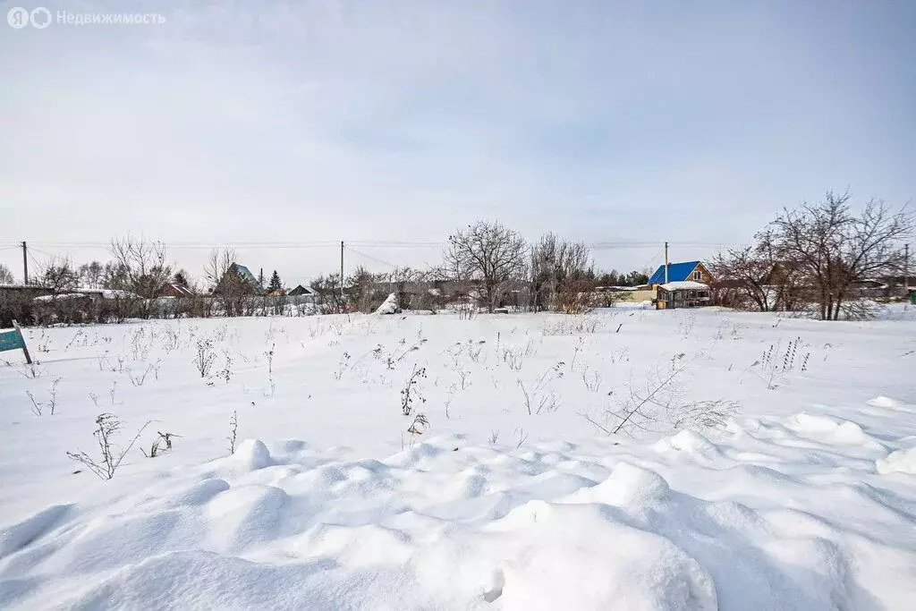 Участок в Бердск, СНТ Лесное, 11-я улица (5.01 м) - Фото 1