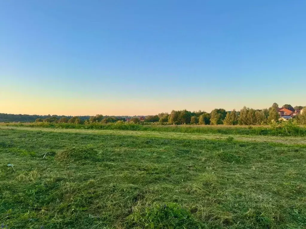 Участок в Московская область, Клин городской округ, д. Струбково  (8.1 ... - Фото 2