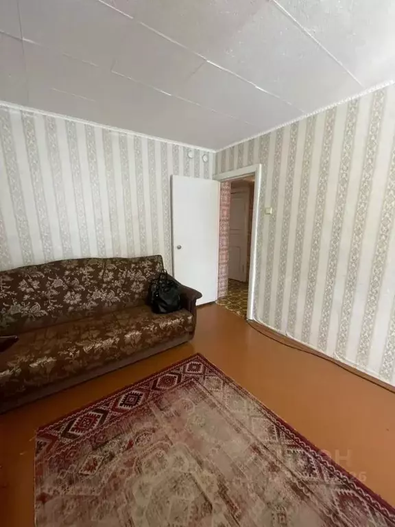 3-к кв. Владимирская область, Александровский муниципальный округ, ... - Фото 2