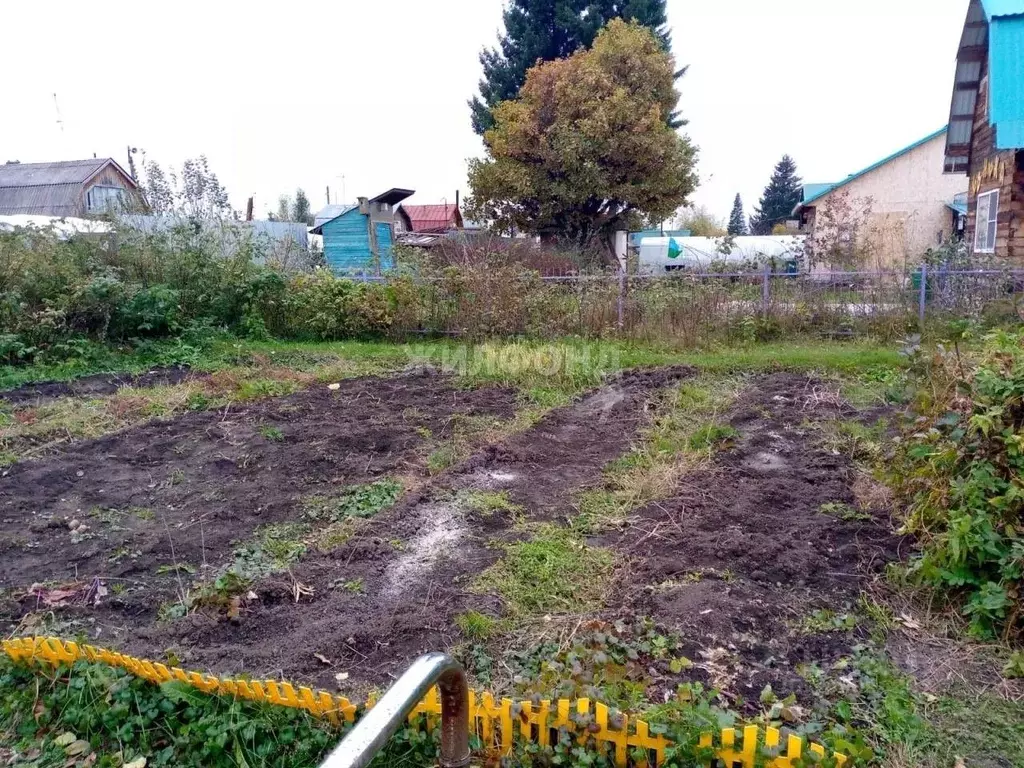 Дом в Новосибирская область, Тогучинский район, Театрал-2 садовое ... - Фото 1