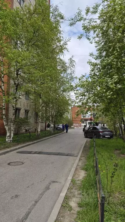 1-к кв. Санкт-Петербург просп. Луначарского, 96К2 (193.0 м) - Фото 2