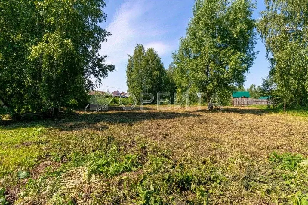 Участок в Тюменская область, Нижнетавдинский район, Фортуна СТ ул. 1-я ... - Фото 1